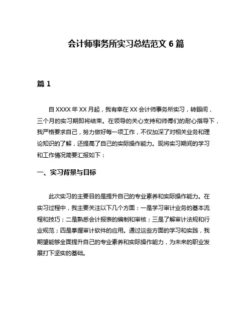 会计师事务所实习总结范文6篇