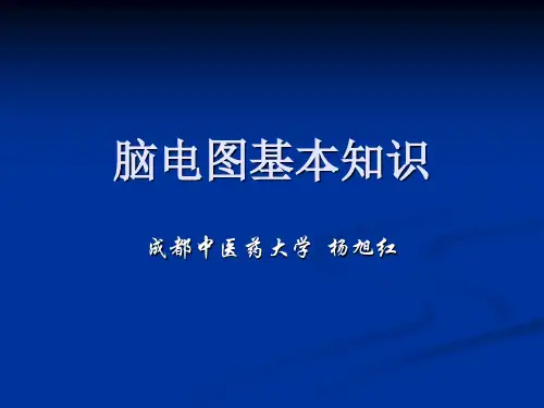 EEG基本知识
