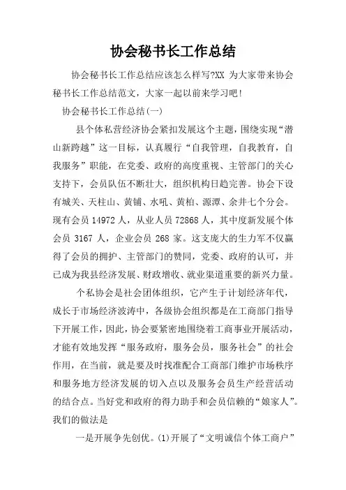 协会秘书长工作总结
