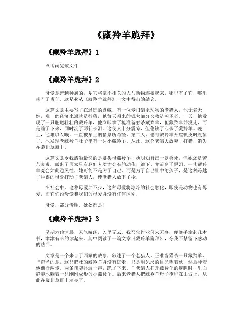 《藏羚羊跪拜》
