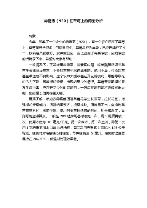 赤霉素（920）在草莓上的药害分析