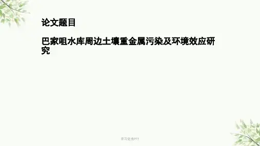重金属污染及环境效应研究ppt课件