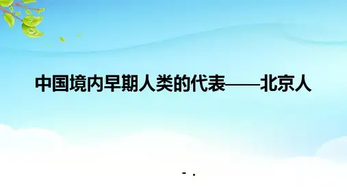 《中国早期人类的代表—北京人》PPT优质课件
