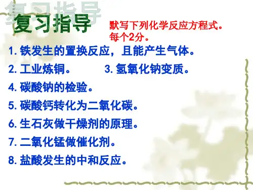 中考化学专题复习：物质成分的实验探究(共16张PPT)