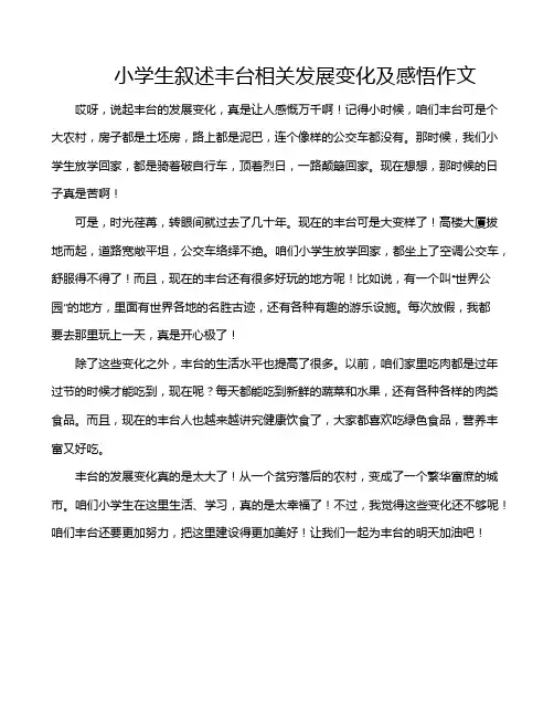 小学生叙述丰台相关发展变化及感悟作文