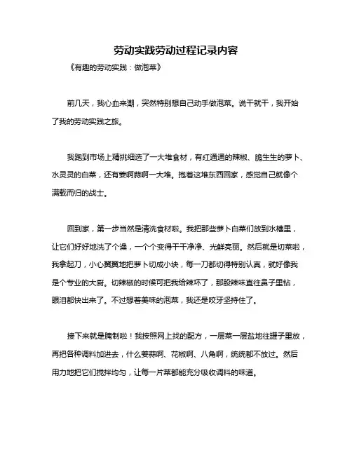 劳动实践劳动过程记录内容