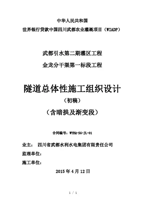 武都引水二期隧洞施组