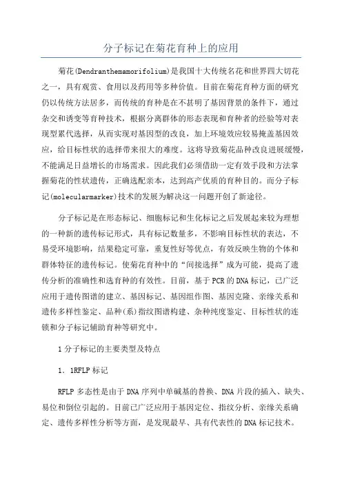 分子标记在菊花育种上的应用