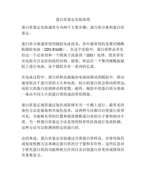 蛋白质鉴定实验原理