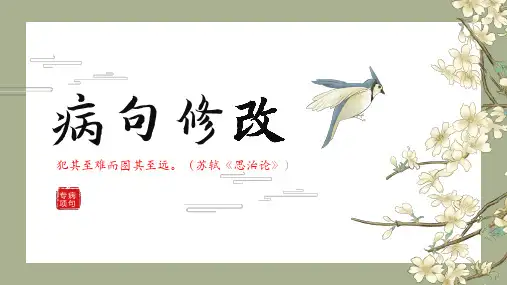 中考语文专项训练-修改病句 (课件60张)