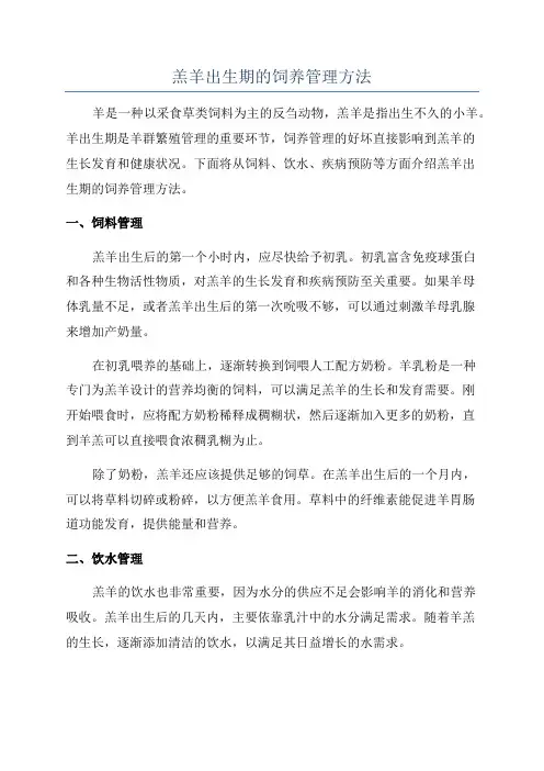 羔羊出生期的饲养管理方法