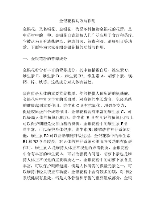 金银花粉功效与作用