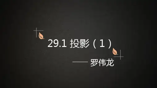 291投影(1)课件-广东省肇庆市高要区金利镇朝阳实验学校人教版九年级数学下册(共10张PPT)