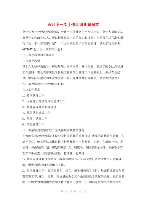 会计下一步工作计划5篇例文的