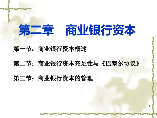 chap2-商业银行资本金