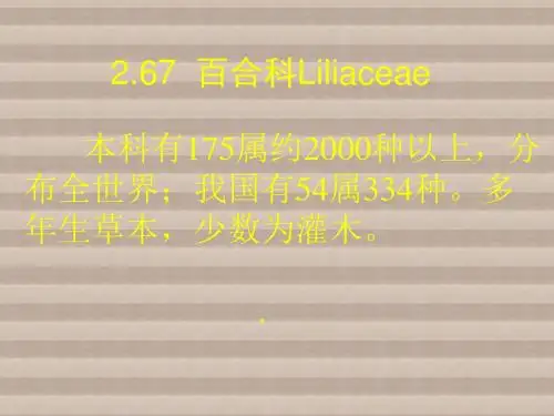园林树木012-百合科棕榈科68-69
