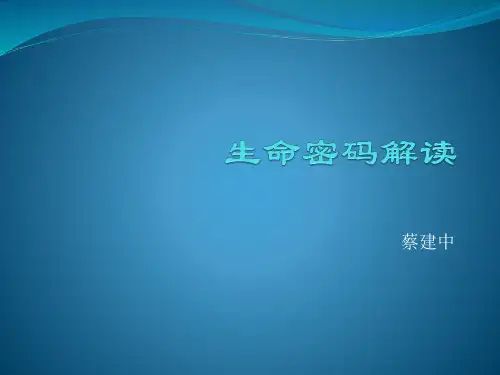 生命密码解读