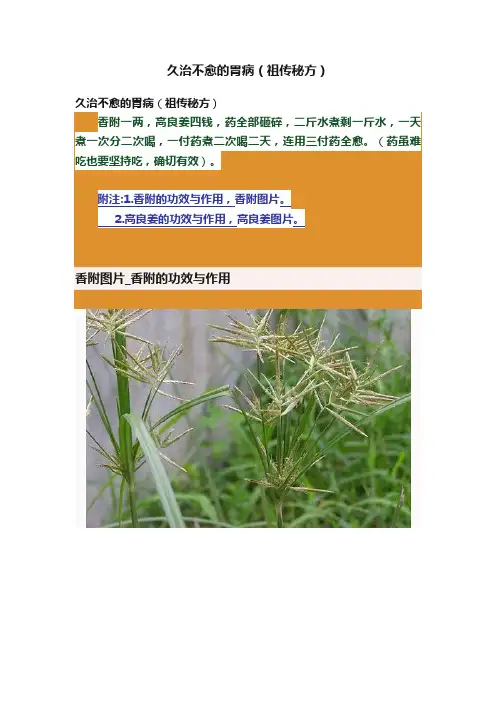 久治不愈的胃病（祖传秘方）