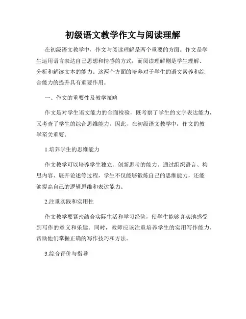 初级语文教学作文与阅读理解