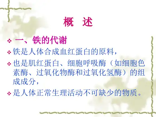 铁的代谢ppt课件.ppt