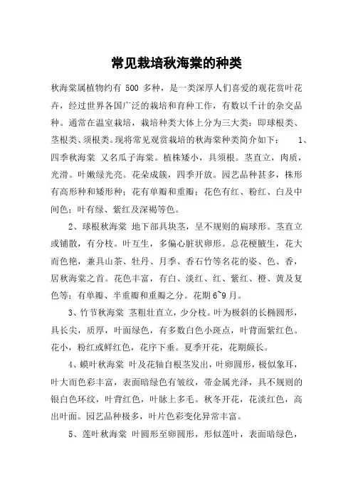 常见栽培秋海棠的种类