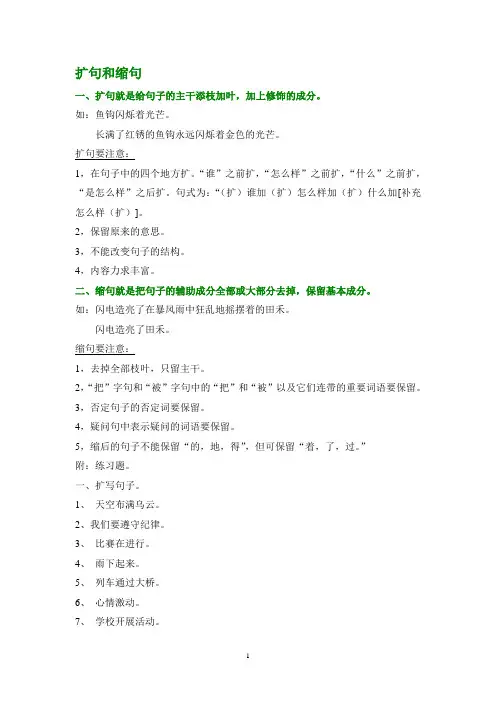 扩句与缩句指导