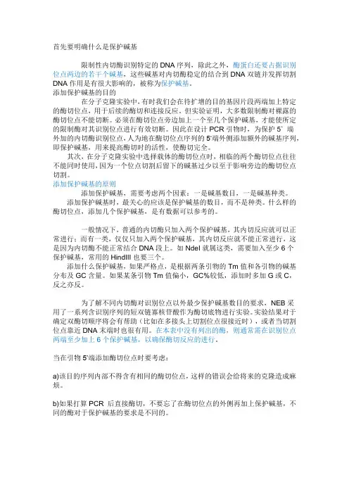 保护碱基