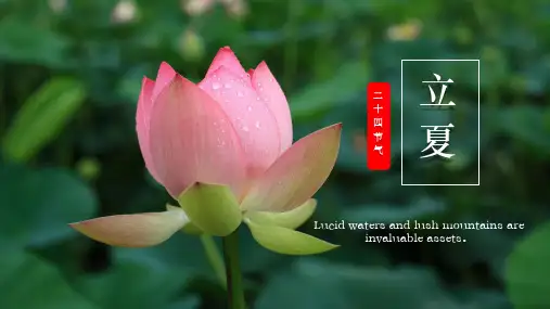 小清新传统节气立夏节气夏天通用PPT模板