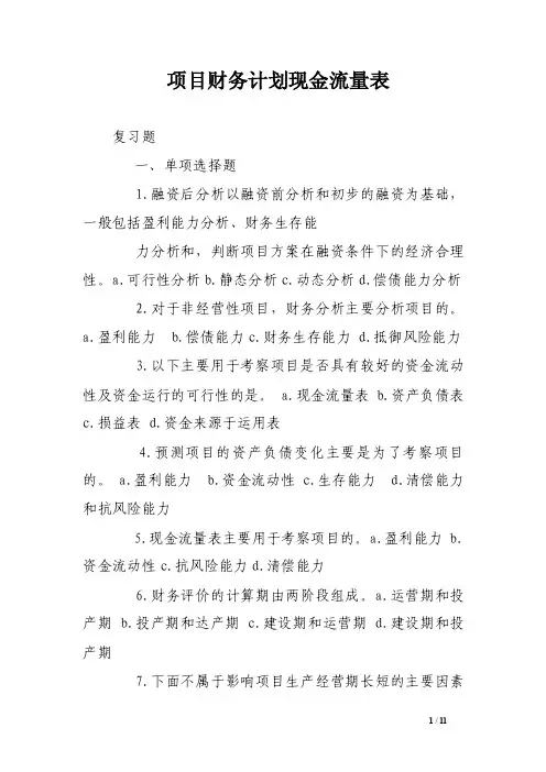 项目财务计划现金流量表