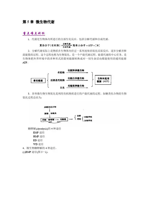 第5章 微生物代谢