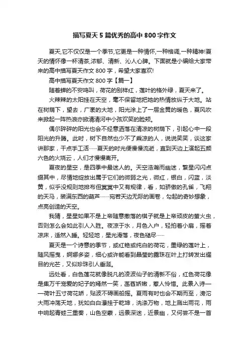 描写夏天5篇优秀的高中800字作文