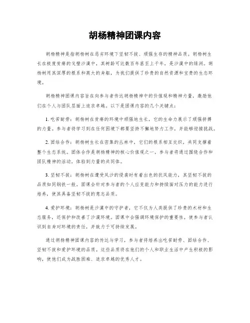 胡杨精神团课内容