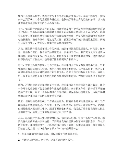统计年报工作心得体会