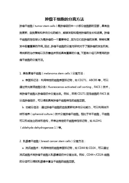 肿瘤干细胞的分离方法