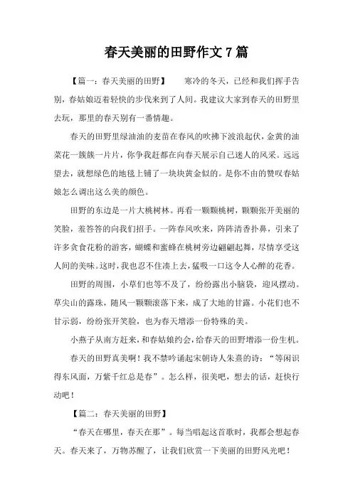 春天美丽的田野作文7篇