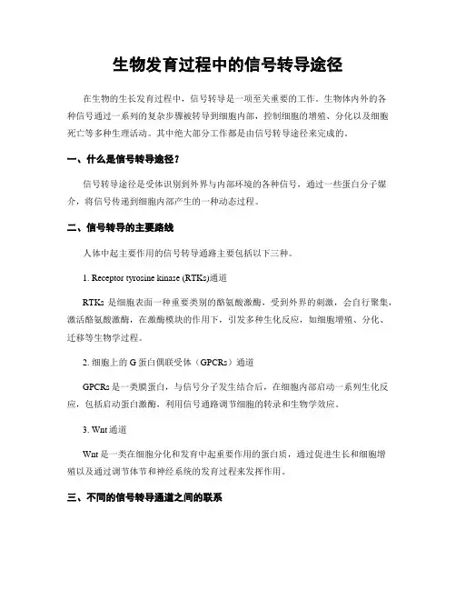 生物发育过程中的信号转导途径