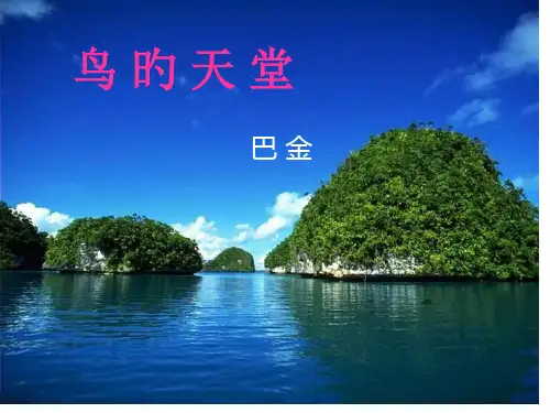人教版五年级上册《鸟的天堂》ppt省公开课获奖课件说课比赛一等奖课件
