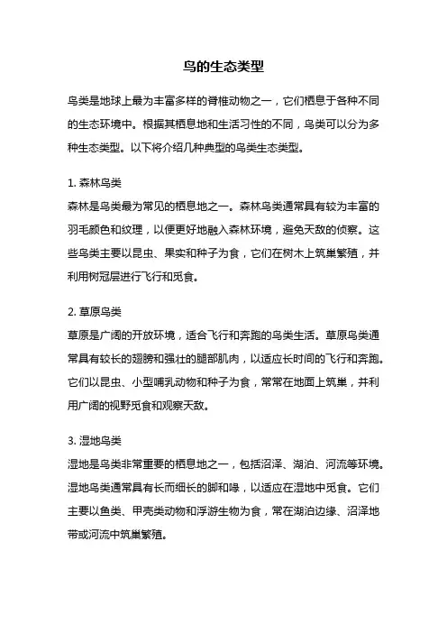 鸟的生态类型