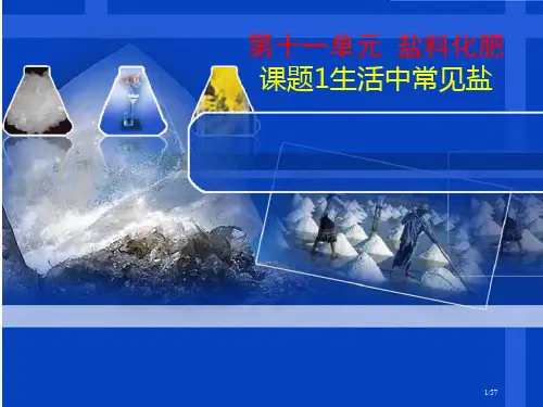课题1《生活中常见的盐》省公开课一等奖全国示范课微课金奖PPT课件