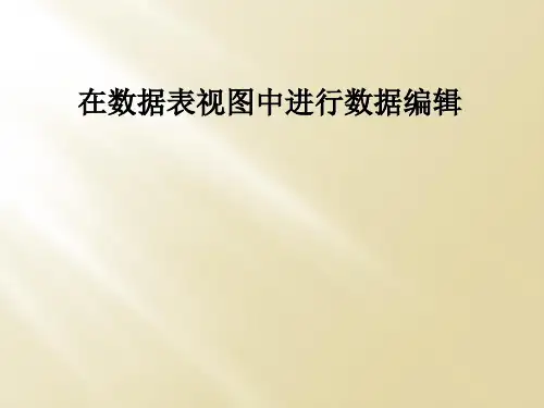 在数据表视图中进行数据编辑