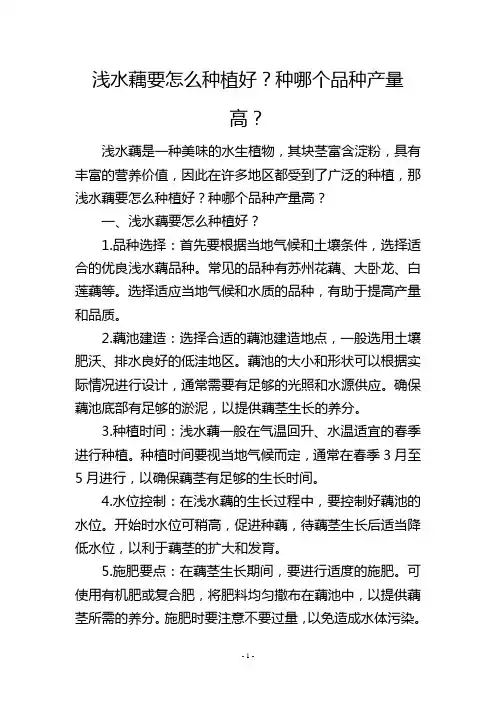 浅水藕要怎么种植好？种哪个品种产量高？