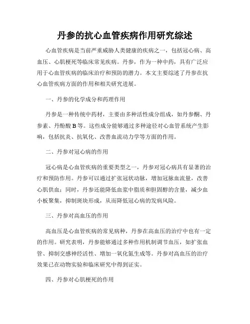 丹参的抗心血管疾病作用研究综述
