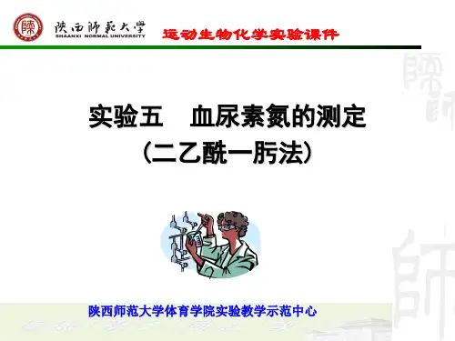 五血尿素氮的测定二乙酰一肟法