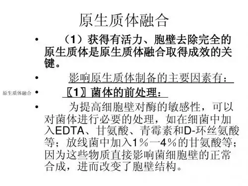 发酵工艺学