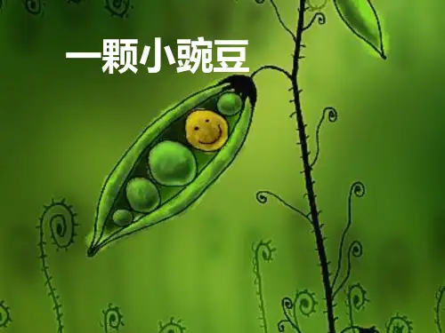 五年级上册语文课件-2.11 一颗小豌豆丨沪教版(2015秋) (共14张PPT) (1)