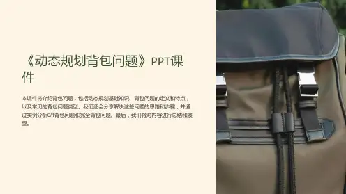 《动态规划背包问题》课件