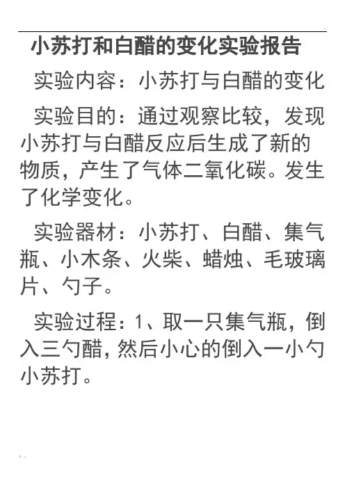 小苏打和白醋的变化实验报告