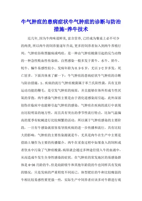 牛气肿疽的患病症状 牛气肿疽的诊断与防治措施 - 养牛技术