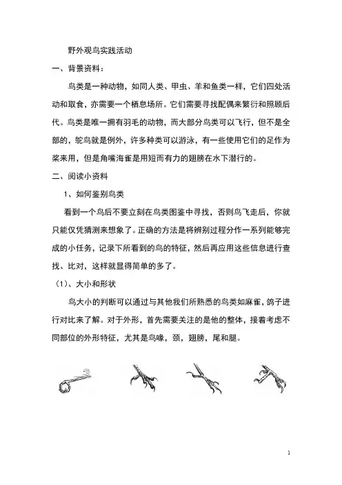 18-初中生物课外读本-观鸟