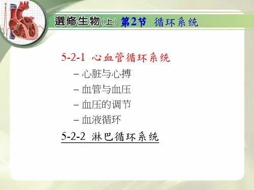 动物的循环_循环系统